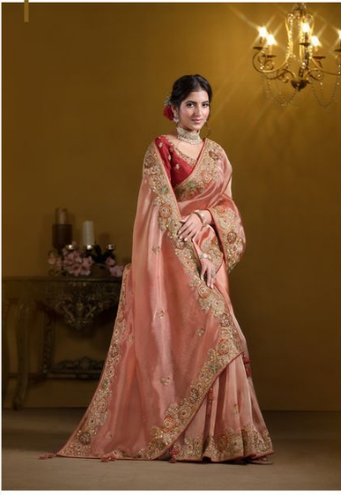 Orange Pure Twill Tissue Designer Saree | Pure Khatli Work with Sequence Embellishments