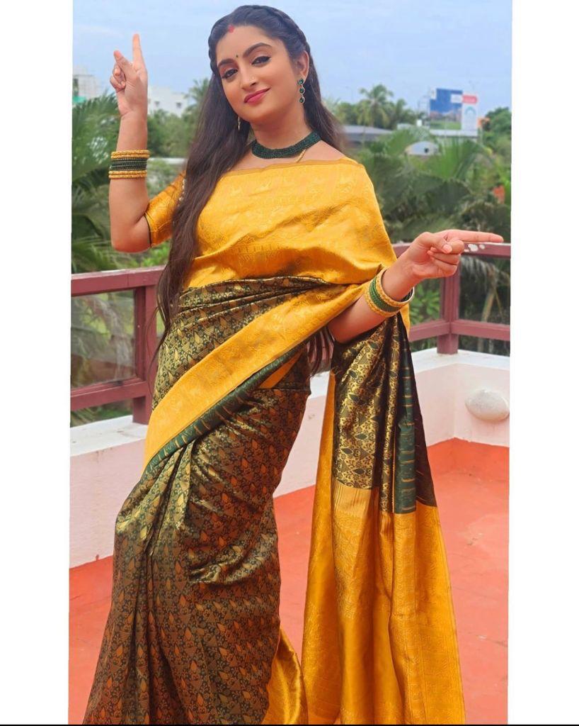 Multi-Color Soft Lichi Silk Saree | Rich Pallu & Jacquard Work Couture