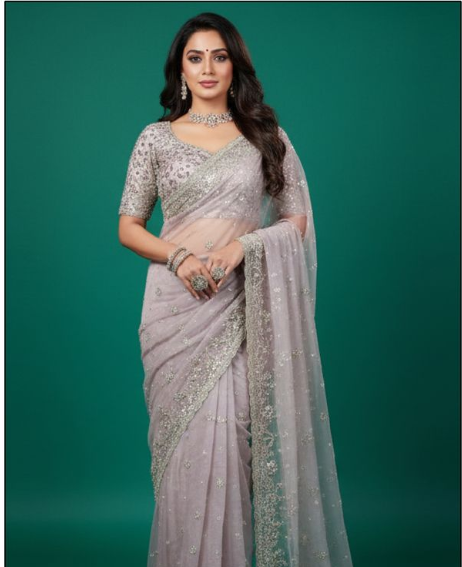 Elegant Organza Tissue Silk Saree | Hand-Embroidered with Stone Accents