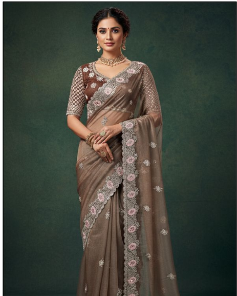 Elegant Organza Tissue Silk Saree | Artisanal Thread Embroidery with Stone Work