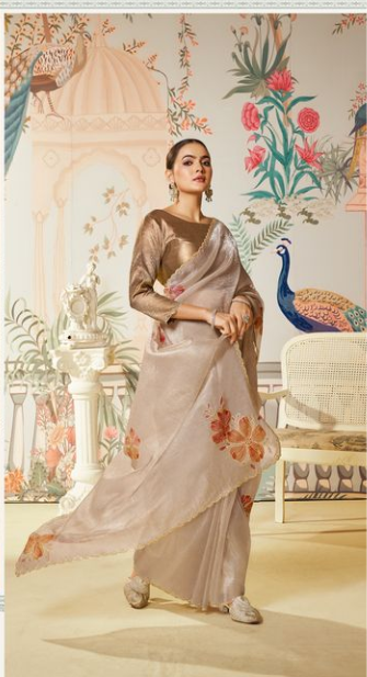 Chiku Satin Organza Silk Saree | Swarovski Diamond Work & Brush Print