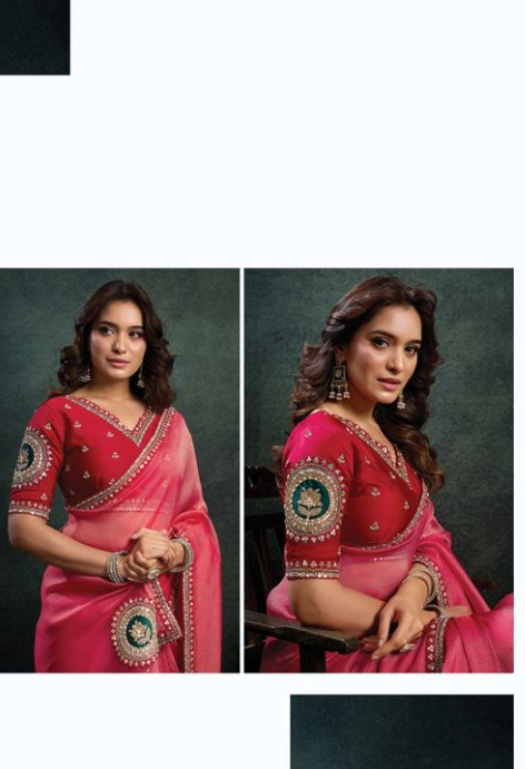 Radiant Red Zari Organza Silk Saree | Sequins Embroidery & Stone Applique Work